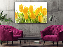 Obraz Žlté tulipány 